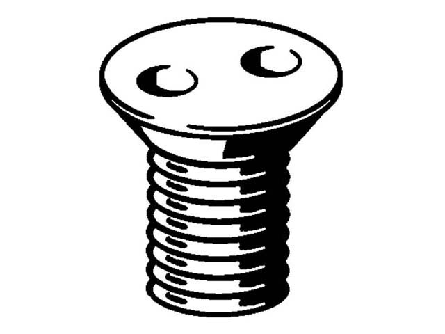 Viega Senkschrauben 4933.8, M5 x 10mm, 563387, fuer Roste