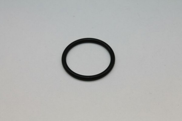 Suevia O-Ring 20 x 2 mm, Nr. 102.0246 zu Mod. 62