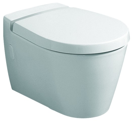 Keramag WC-Sitz Visit 576310, Scharniere: Metall, Absenkautomatik weiß(alpin)