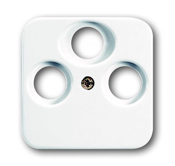 1785-74 Zentralscheibe Für Schalter/Taster, 2-fach